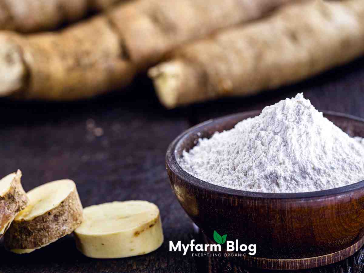 How Good Is Cassava Flour As A Gluten-Free Flour